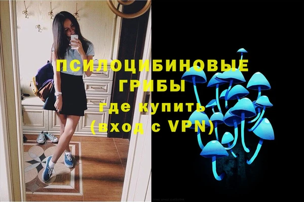 стафф Гусь-Хрустальный