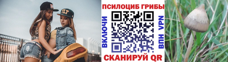 Галлюциногенные грибы мухоморы  Купить закладки  Кировск 